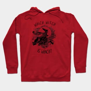 Which Witch is Witch funny Halloween Design Hoodie